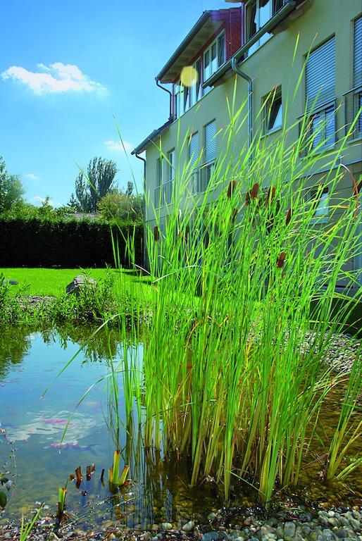 Landhotel Altes Wasserwerk Gbr Freinsheim Bagian luar foto