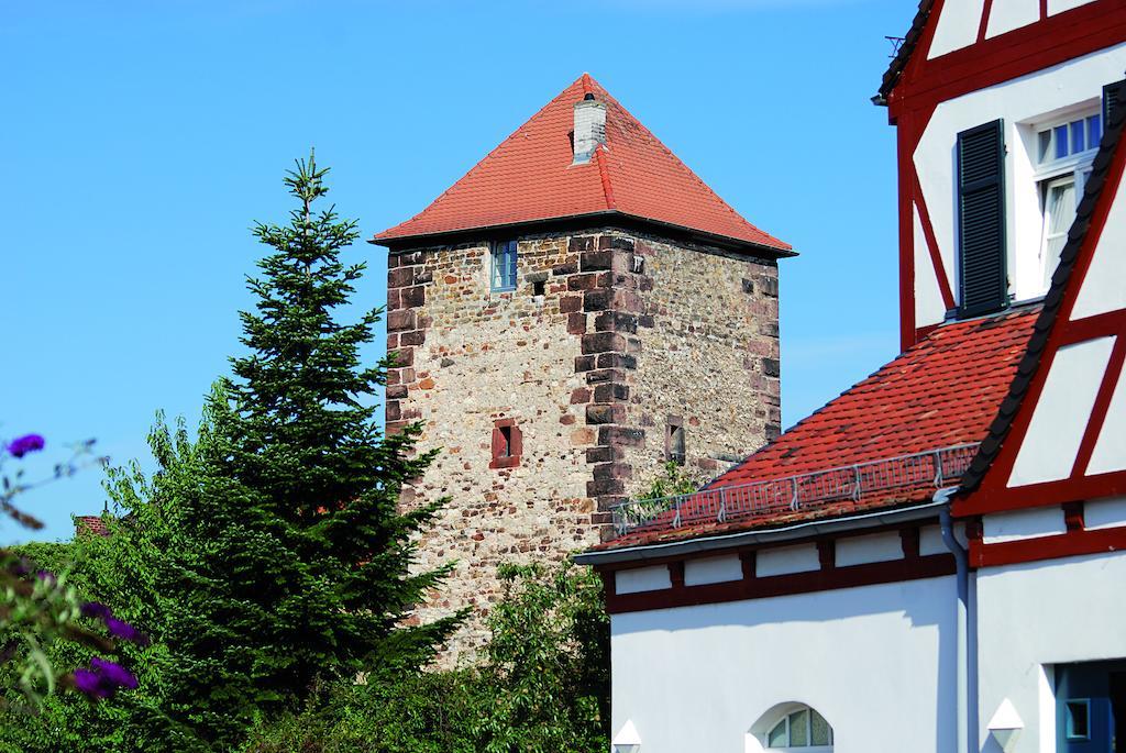 Landhotel Altes Wasserwerk Gbr Freinsheim Bagian luar foto
